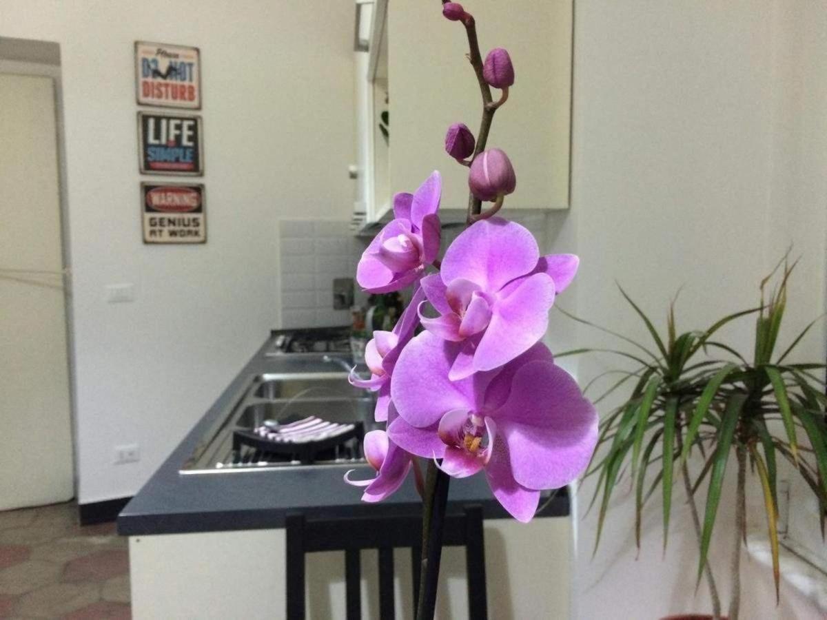 Home Life Rome Casa vacanze *
